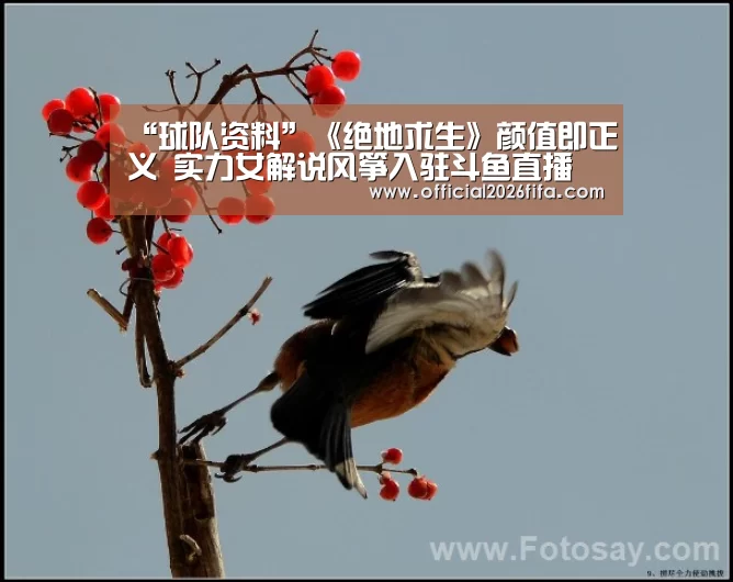 世界杯资讯