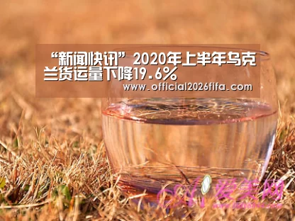 “新闻快讯”2020年上半年乌克兰货运量下降19.6%(图3) 新闻快讯